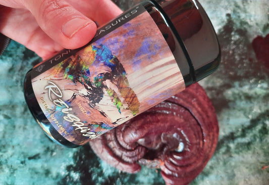 REISHIDELIC: Reishi + Spores Spirit Potency Activation Tonic